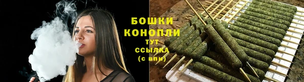 прущие грибы Белокуриха