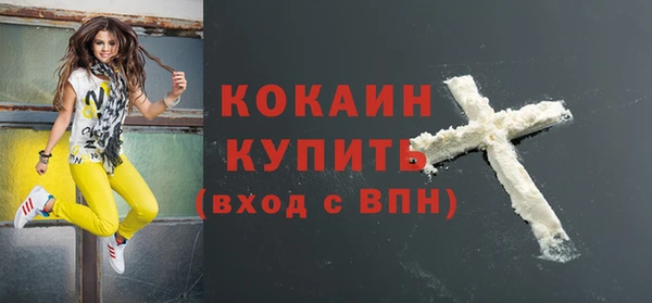 прущие грибы Белокуриха