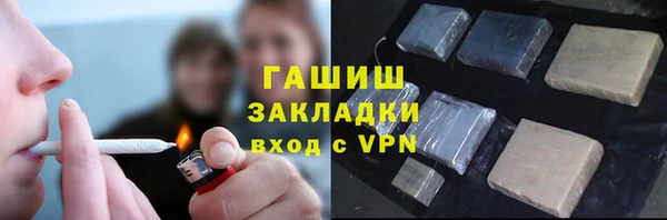 прущие грибы Белокуриха