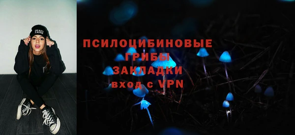 прущие грибы Белокуриха