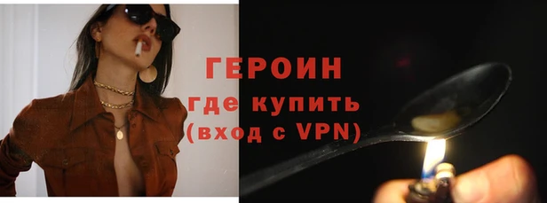 прущие грибы Белокуриха