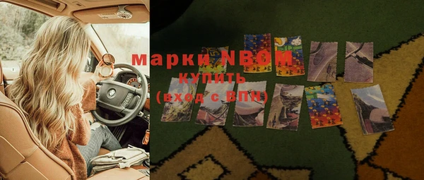 прущие грибы Белокуриха