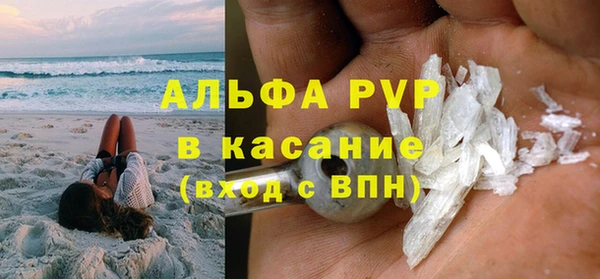прущие грибы Белокуриха