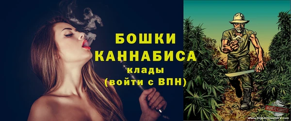 прущие грибы Белокуриха