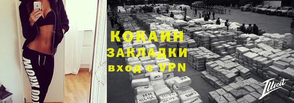 прущие грибы Белокуриха
