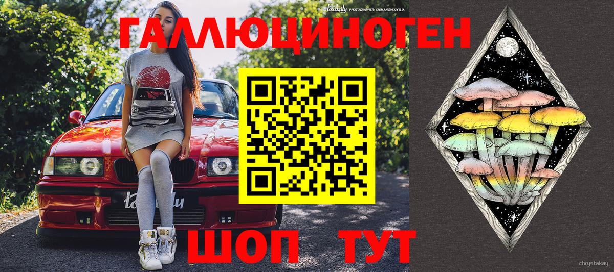 МЕФ Гусев