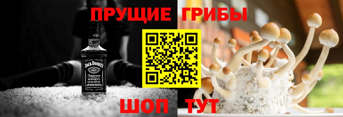 Гусев  Псилоцибиновые грибы GOLDEN TEACHER  Вход с VPN 
