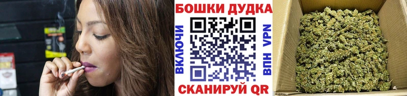 Шишки марихуана Amnesia  блэк спрут как зайти  Гусев 