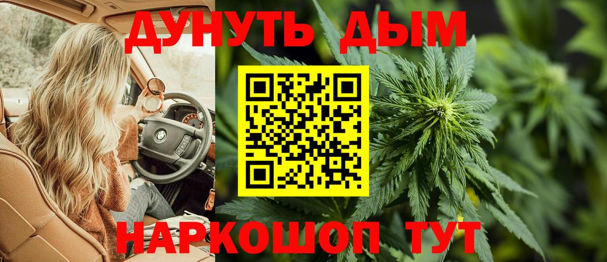 Канабис семена Гусев